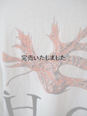 画像15: another 20th century(アナザートゥエンティースセンチュリー) Albus quercusI- LS-T