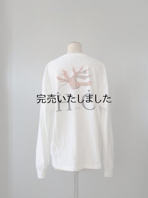 画像9: another 20th century(アナザートゥエンティースセンチュリー) Albus quercusI- LS-T