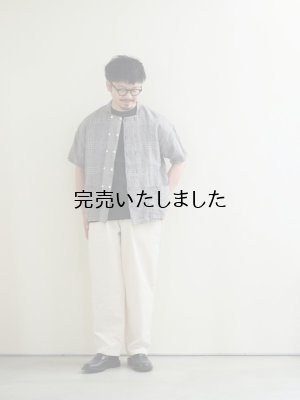 画像22: another 20th century(アナザートゥエンティースセンチュリー) Bio Koch SS shirts - Linen Check