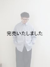 alvana(アルヴァナ) WIDE REGULAR SHIRTS ホワイトストライプ