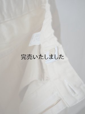 画像8: 【再入荷】HARVESTY(ハーベスティ) ビッグデニムペインターパンツ アイボリー