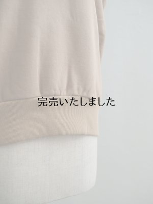 画像6: ASEEDONCLOUD(アシードンクラウド) Handwerker-ハンドベイカー- HW Tie Trainer Vest キャメル