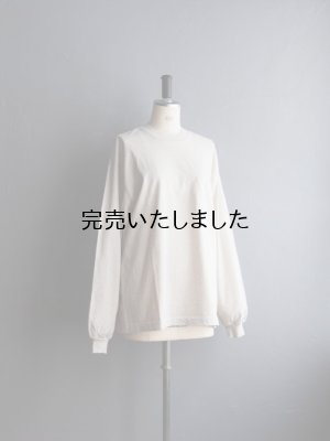 画像8: ENDS and MEANS(エンズアンドミーンズ) Pocket L/S Tee ポリッジ