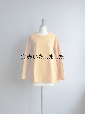 画像1: ASEEDONCLOUD(アシードンクラウド) Handwerker-ハンドベイカー- HW long sleeve T-shirt マスタード