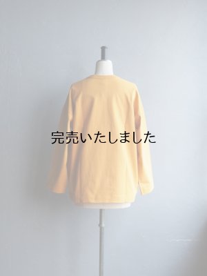 画像3: ASEEDONCLOUD(アシードンクラウド) Handwerker-ハンドベイカー- HW long sleeve T-shirt マスタード