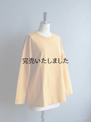 画像6: ASEEDONCLOUD(アシードンクラウド) Handwerker-ハンドベイカー- HW long sleeve T-shirt マスタード