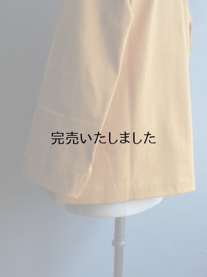 画像17: ASEEDONCLOUD(アシードンクラウド) Handwerker-ハンドベイカー- HW long sleeve T-shirt マスタード