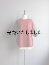 alvana(アルヴァナ) BASEBALL TEE SHIRTS ワイン