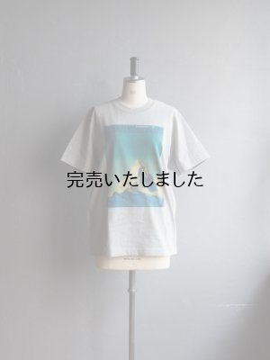 画像1: ATELIER AMELOT-アトリエアメロ  SWISS AIR グレー
