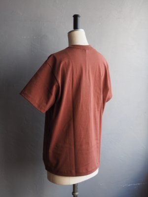 画像13: alvana(アルヴァナ) 空紡CLASSIC PK TEE SHIRTS レッドブラウン