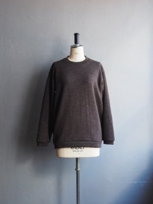 画像1: Style Craft Wardrobe(スタイルクラフトワードローブ) T-SWEATER(WOOL RIB) ウォルナット