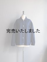 alvana(アルヴァナ) BHARAT DENIM JACKET - ブルー