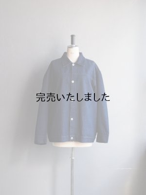 画像1: alvana(アルヴァナ) BHARAT DENIM JACKET - ブルー