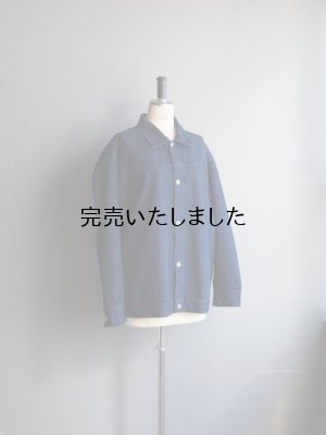画像5: alvana(アルヴァナ) BHARAT DENIM JACKET - ブルー