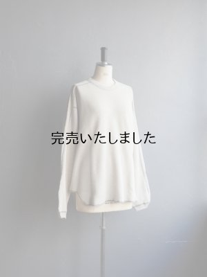 画像5: ENDS and MEANS(エンズアンドミーンズ) Waffle Thermal L/S Tee オートミール
