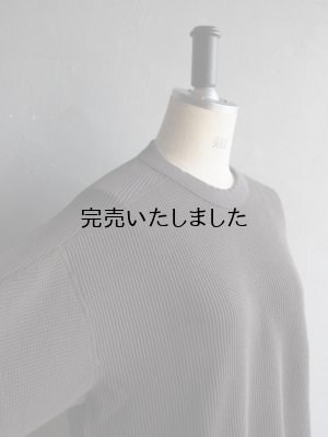 画像9: ENDS and MEANS(エンズアンドミーンズ) Waffle Thermal L/S Tee チャコール