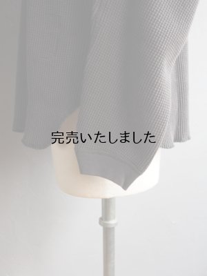 画像12: ENDS and MEANS(エンズアンドミーンズ) Waffle Thermal L/S Tee チャコール