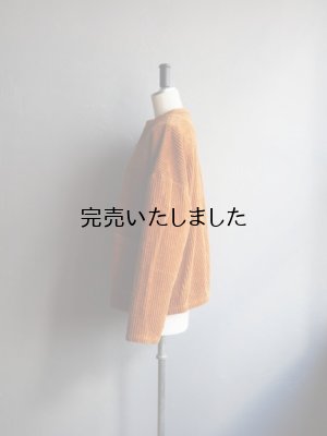 画像2: HARVESTY(ハーベスティー) コーデュロイアトリエジャケット モカ