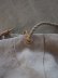 画像11: STYLE CRAFT(スタイルクラフト) RT-01 / linen rope wash linen natural