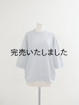 Style Craft Wardrobe(スタイルクラフトワードローブ) T-SWEATER 1/2 ramie 鹿子 TOP GRAY
