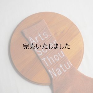 画像8: TACOMA FUJI RECORDS × MY LOADS ARE LIGHT 藝術科学思想自然ソックス A.S.T.N.Socks 4色展開