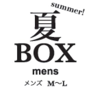 画像1: 数量限定 and ordinary. 夏BOX メンズ M〜Lサイズ(在庫2点のみ！！)