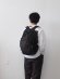 画像1: ENDS and MEANS(エンズアンドミーンズ) Packable Backpack アフリカンブラック