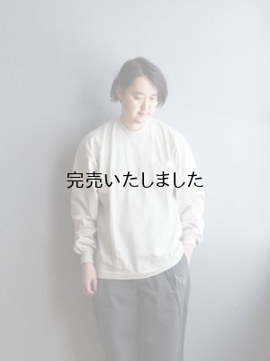 画像1: ENDS and MEANS(エンズアンドミーンズ) Pocket L/S Tee ポリッジ