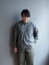 画像4: allinone(オールインワン) FLYING KIWI shirts GRAY