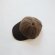 画像4: TWEEDMILL(ツイードミル) BB CAP-WAX-